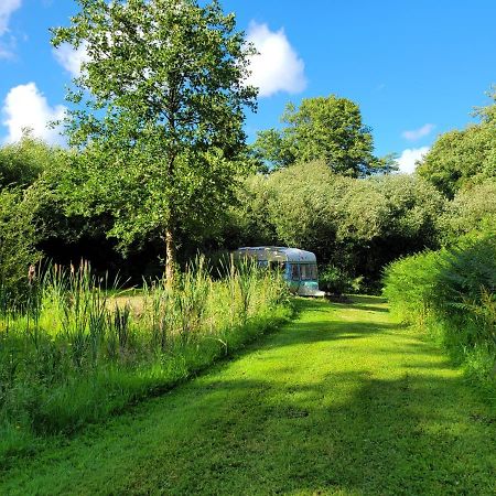 Quirky Eco Stay, Bedding Not Supplied, Peaceful & Private For 2 In Dble Bed Narberth Exterior photo